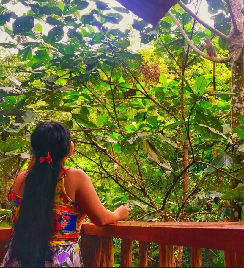 Casa Da Arvore, Sonho Na Amazonia, 2Min A Pe Da Praia Alter do Chao Bagian luar foto