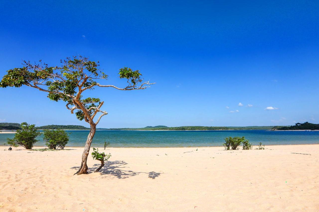 Casa Da Arvore, Sonho Na Amazonia, 2Min A Pe Da Praia Alter do Chao Bagian luar foto